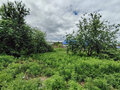Продажа дома: п. Дружинино, ул. Калинина, 64 (Нижнесергинский район) - Фото 3