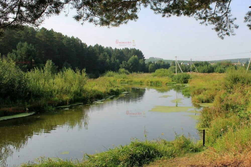 д. Токарево, СНТ Репка, уч. 4 (городской округ Сысертский) - фото сада (1)