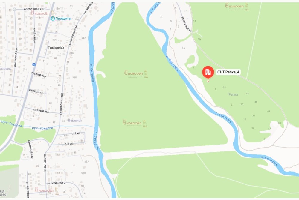д. Токарево, СНТ Репка, ул. СНТ Репка, 4 (городской округ Сысертский) - фото сада (2)