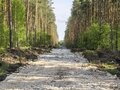 Продажа садового участка: д. Токарево, СНТ Репка, уч. 4 (городской округ Сысертский) - Фото 6