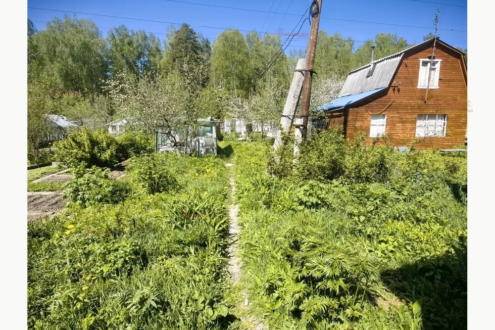 Екатеринбург, к/с ЛУЧ-2, уч. 143 - фото сада (13)