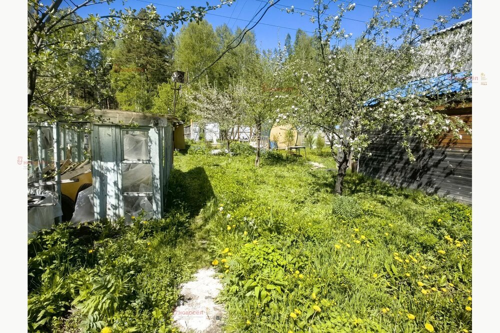 Екатеринбург, к/с ЛУЧ-2, уч. 143 - фото сада (14)