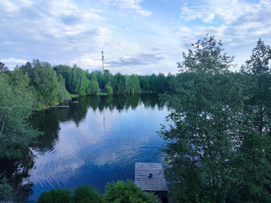 г. Среднеуральск, ул. СНТ Черемшанка,, 41 (городской округ Среднеуральск) - фото коттеджа (3)