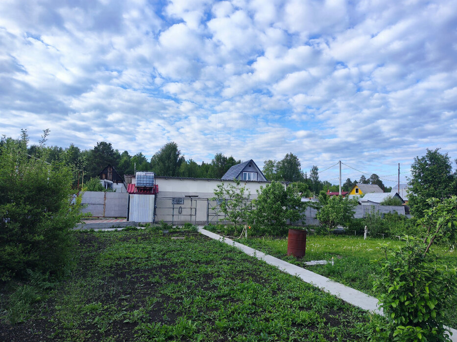 г. Среднеуральск, тер. СНТ. Черемшанка (городской округ Среднеуральск) - фото сада (6)