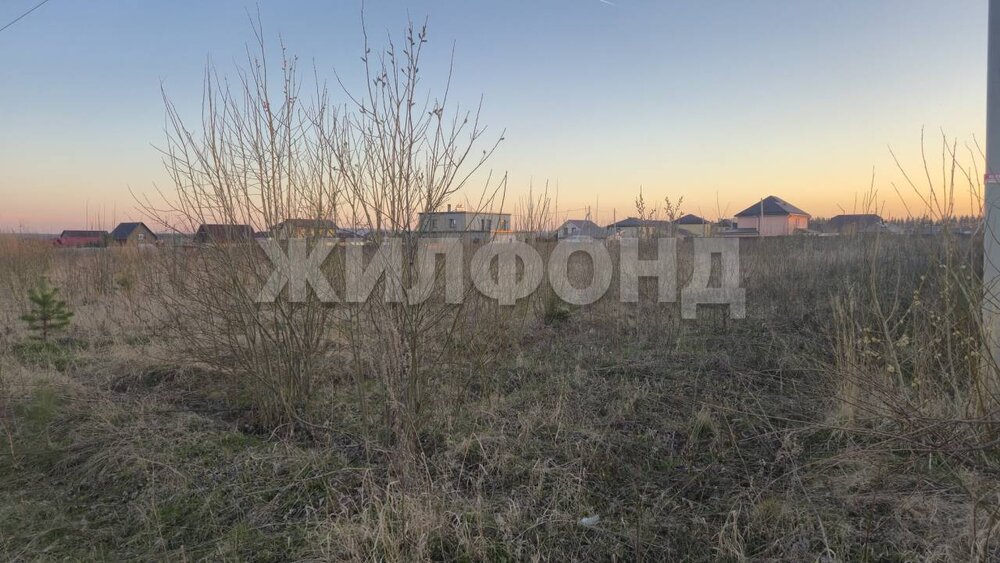 с. Николо-Павловское, ул. Ежевичная (городской округ Горноуральский) - фото земельного участка (2)