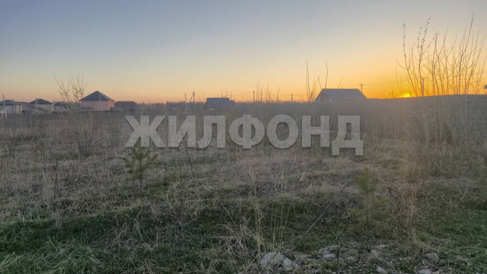 с. Николо-Павловское, ул. Ежевичная (городской округ Горноуральский) - фото земельного участка (4)