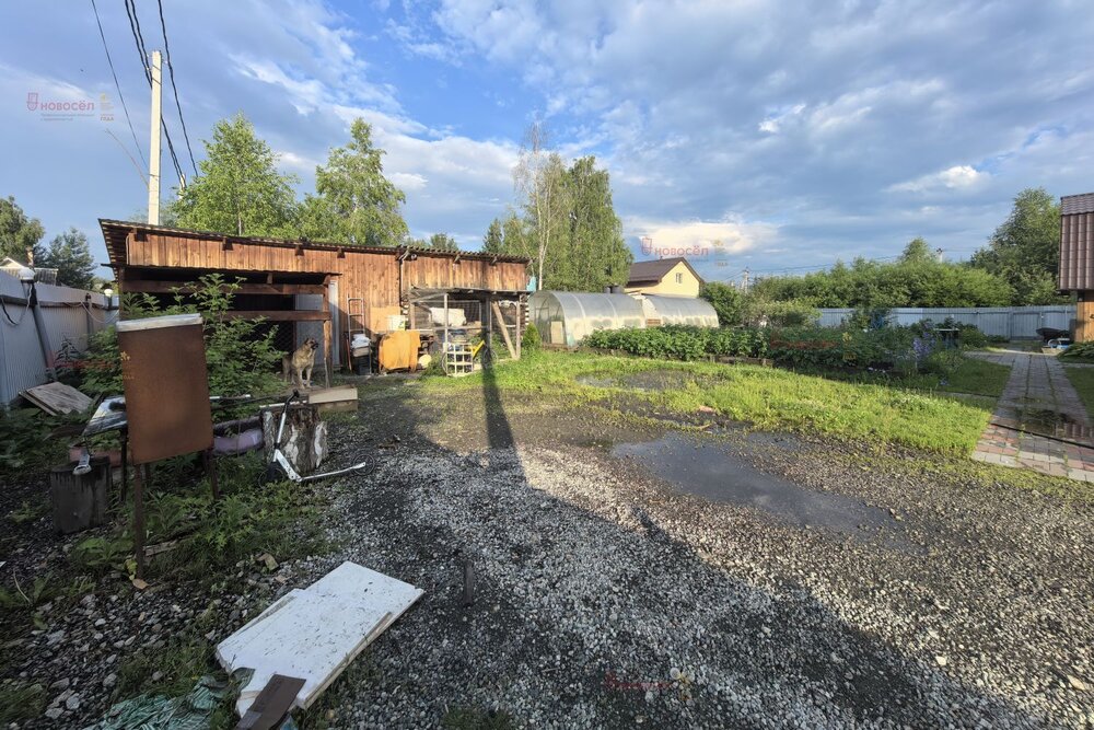 Екатеринбург, к/с Импульс (Палкинский торфяник) - фото сада (6)