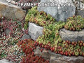 Продажа земельного участка: Екатеринбург, ул. 50-й Пикет, 12В (Шабровский) - Фото 15