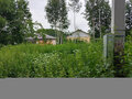 Продажа садового участка: Екатеринбург, СНТ Дорожник, ул. 6-я линия,   - Фото 2