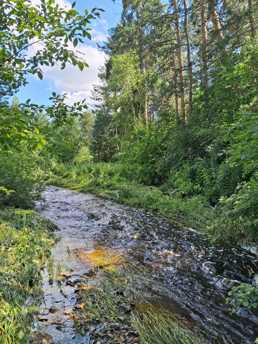 г. Реж, Металлург 5 (городской округ Режевской) - фото сада (6)