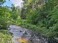 Продажа садового участка: г. Реж, Металлург 5 (городской округ Режевской) - Фото 6