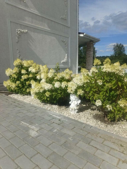 к.п. Алые паруса, ул. Петровская, 46а (городской округ Белоярский) - фото дома (5)