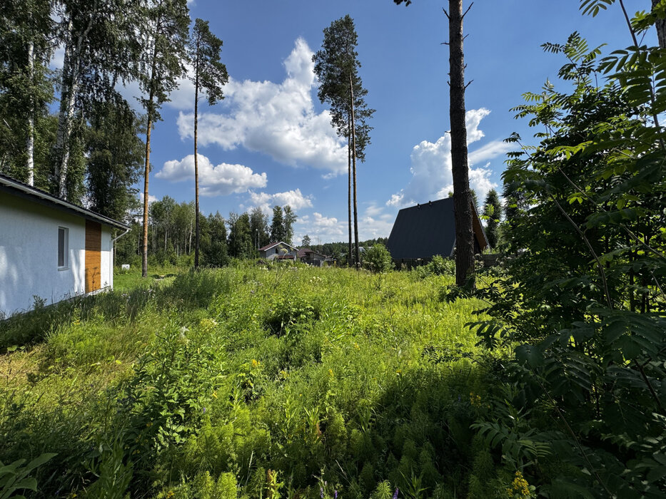 к.п. Заповедник, ул. Лисий лес, 170 (городской округ Сысертский, п. Габиевский) - фото земельного участка (3)