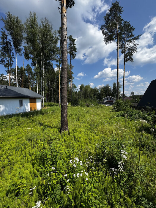 к.п. Заповедник, ул. Лисий лес, 170 (городской округ Сысертский, п. Габиевский) - фото земельного участка (4)