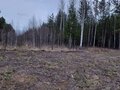 Продажа земельного участка: г. Заречный, ул. Молодежная, 25 (городской округ Заречный) - Фото 3