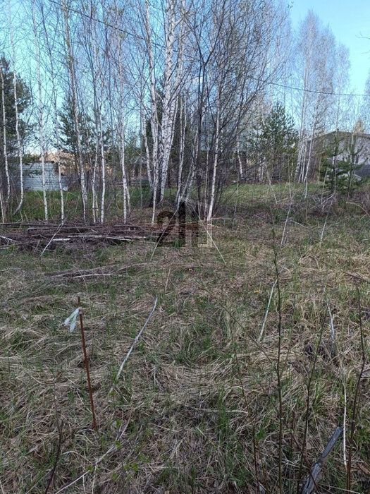 п. Белоярская Застава, ул. Калиновый, 6 (городской округ Белоярский) - фото земельного участка (2)