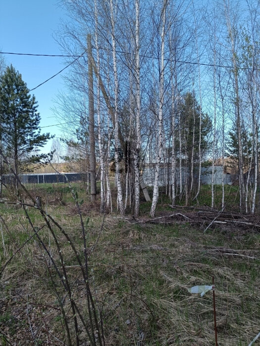 п. Белоярская Застава, ул. Калиновый, 6 (городской округ Белоярский) - фото земельного участка (3)