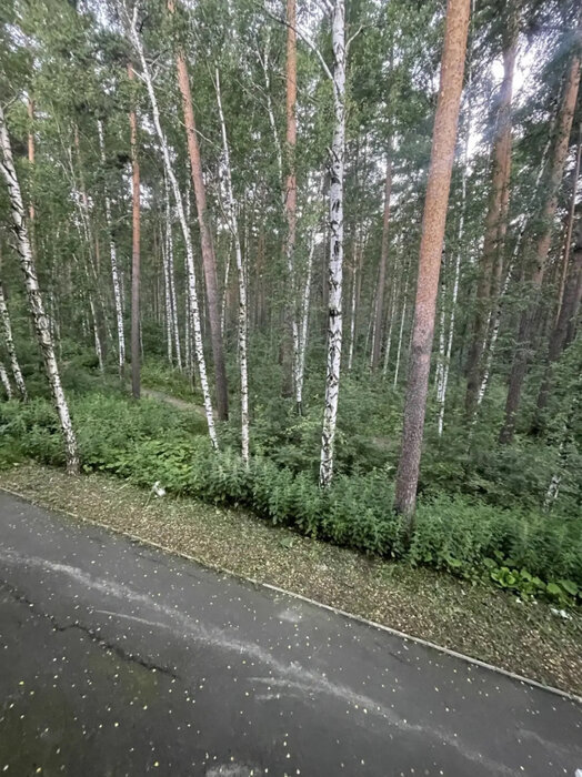 Екатеринбург, ул. Евгения Савкова, 60 (Широкая речка) - фото квартиры (12)