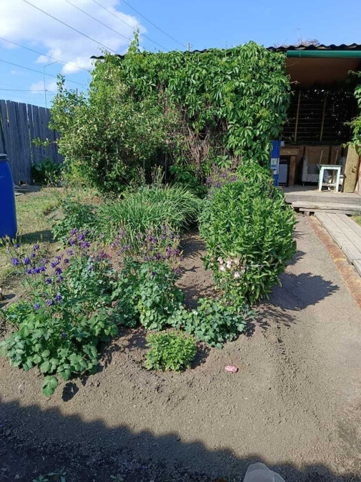 д. Измоденова, ул. Ленина, 29 (городской округ Белоярский) - фото дома (11)