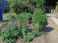 Продажа дома: д. Измоденова, ул. Ленина, 29 (городской округ Белоярский) - Фото 11