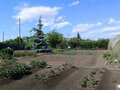 Продажа дома: д. Измоденова, ул. Ленина, 29 (городской округ Белоярский) - Фото 12