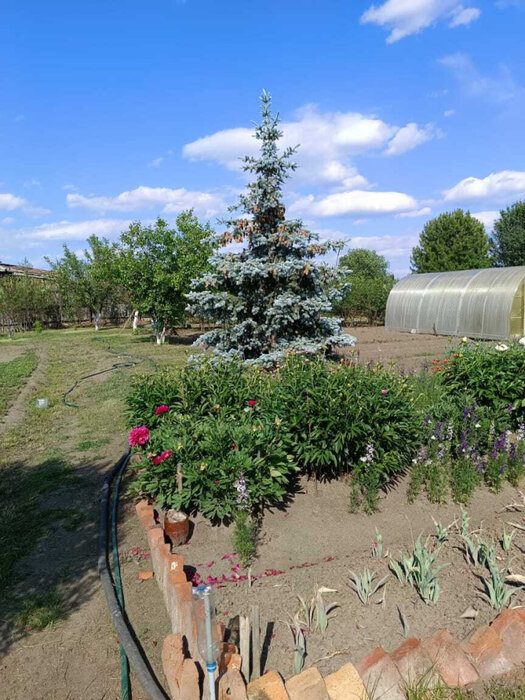 д. Измоденова, ул. Ленина, 29 (городской округ Белоярский) - фото дома (16)