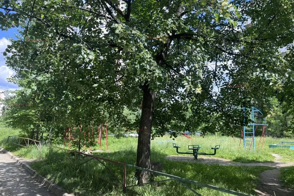 Екатеринбург, ул. Фрезеровщиков, 39/а (Эльмаш) - фото квартиры (13)
