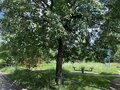 Продажа квартиры: Екатеринбург, ул. Фрезеровщиков, 39/а (Эльмаш) - Фото 13