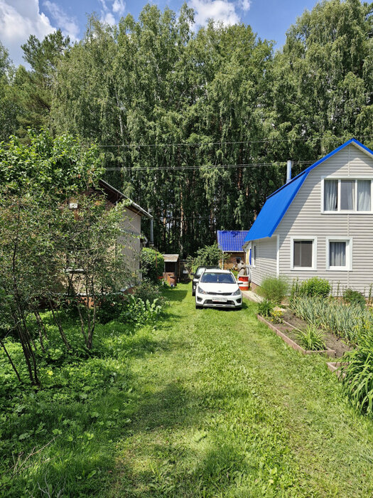 Екатеринбург, СНТ Мелиоратор - фото сада (13)