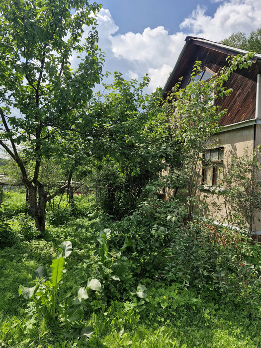 Екатеринбург, СНТ Мелиоратор - фото сада (3)