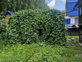 Продажа садового участка: Екатеринбург, СНТ Мелиоратор - Фото 5