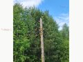 Продажа дачи: п. Аять, ул. Надежда-1 (городской округ Невьянский) - Фото 8