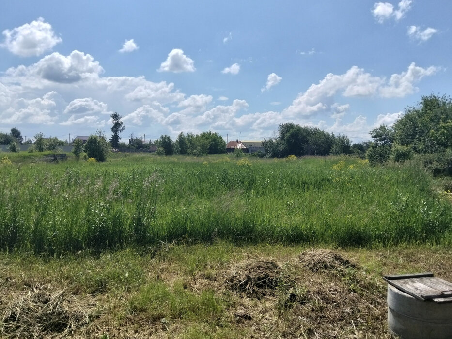 с. Бруснятское, ул. Ленина, 70 (городской округ Белоярский) - фото дома (14)