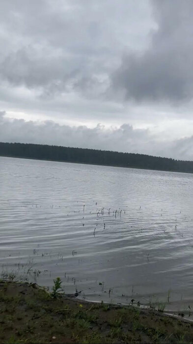 с. Курганово, ул. берег Верхнемакаровского водохранилища (городской округ Полевской) - фото земельного участка (4)