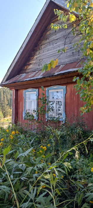 п. Шаля, ул. Урицкого (городской округ Шалинский) - фото дома (2)