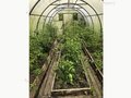 Продажа садового участка: г. Первоуральск, СТ № 69, уч. 25 (городской округ Первоуральск) - Фото 16