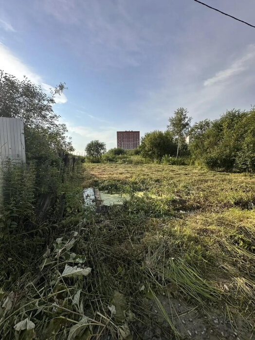 Екатеринбург, к/с Василек, ул. Лучистая (Полеводство) - фото сада (4)