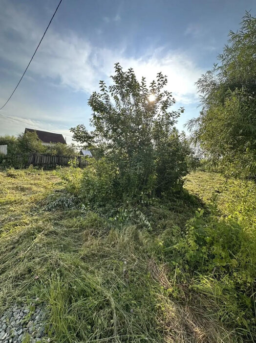 Екатеринбург, к/с Василек, ул. Лучистая (Полеводство) - фото сада (7)