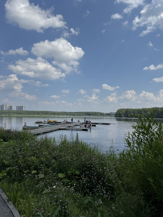 Екатеринбург, ул. Щербакова, 148 (Уктус) - фото квартиры (14)