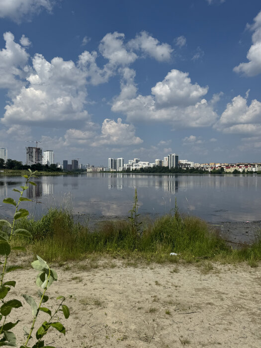 Екатеринбург, ул. Щербакова, 148 (Уктус) - фото квартиры (15)