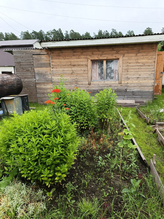 пгт. Билимбай, СНТ Поляна (городской округ Первоуральск) - фото сада (7)