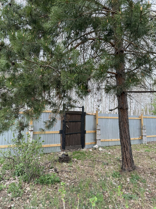д. Крутиха, к/с Северный (городской округ Режевской) - фото сада (11)