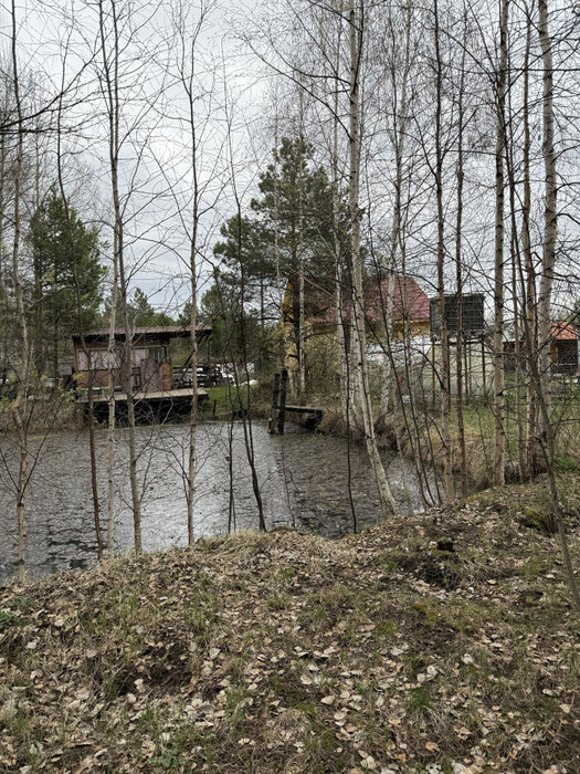 д. Крутиха, к/с Северный (городской округ Режевской) - фото сада (12)