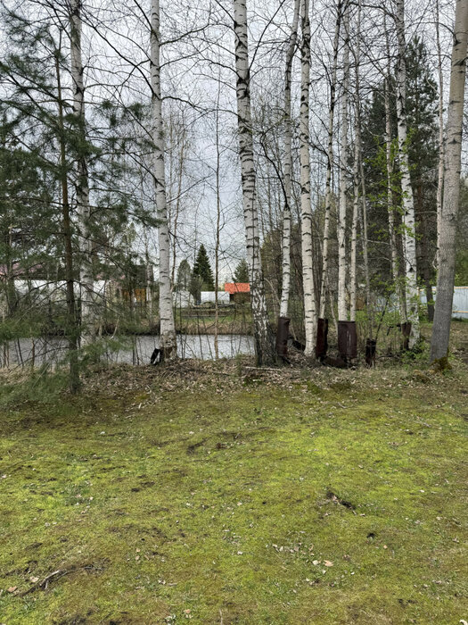 д. Крутиха, к/с Северный (городской округ Режевской) - фото сада (13)