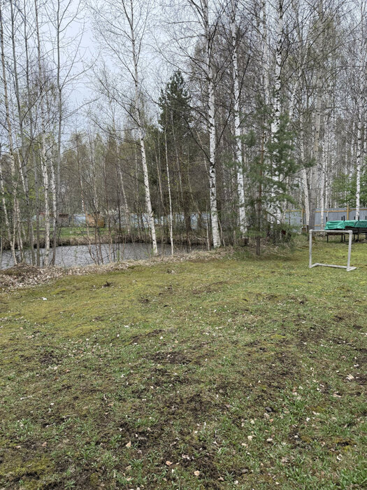 д. Крутиха, к/с Северный (городской округ Режевской) - фото сада (15)