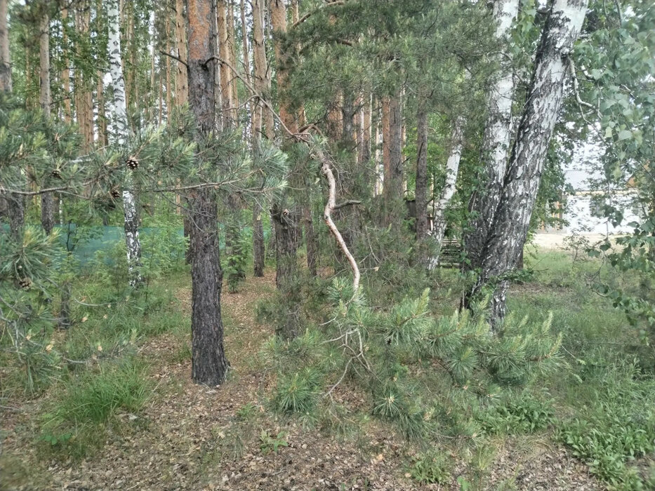 п. Боярка, ул. Пятилетки (городской округ Заречный) - фото дома (5)