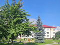 Продажа квартиры: п. Кирпичный, ул. Северные ворота, 4 (городской округ Среднеуральск) - Фото 10