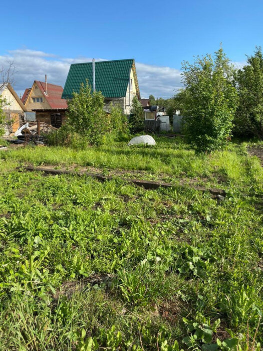г. Среднеуральск, СНТ № 5 Профкома СУГРЭС, уч. 75 (городской округ Среднеуральск) - фото сада (1)