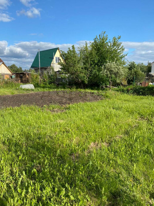 г. Среднеуральск, СНТ № 5 Профкома СУГРЭС, уч. 75 (городской округ Среднеуральск) - фото сада (10)