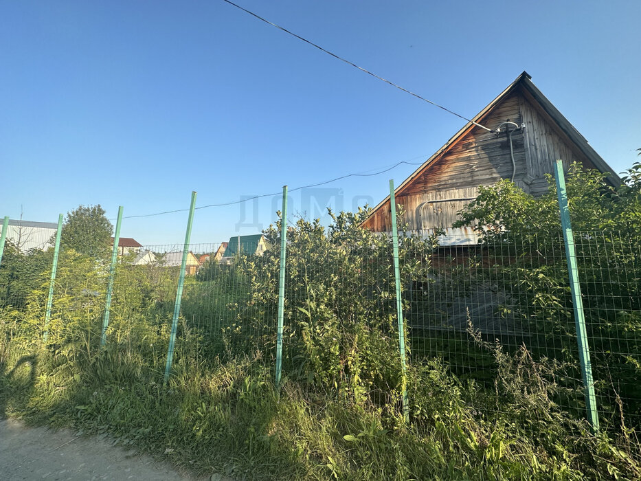г. Среднеуральск, СНТ № 5 Профкома СУГРЭС, уч. 75 (городской округ Среднеуральск) - фото сада (14)